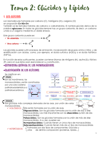 tema-2-gucidos-y-lipidos.pdf