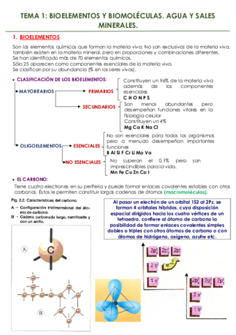 tema-1-BIOELEMENTOS-Y-BIOMOLECULASAGUA-Y-SALES-MINERALES.pdf