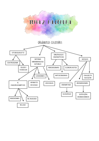 TEMA-2-LA-CELULA.pdf