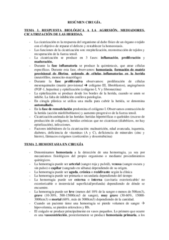 CIRU-TODO.pdf