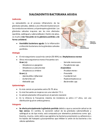 Sialoadenitis-bacteriana.pdf