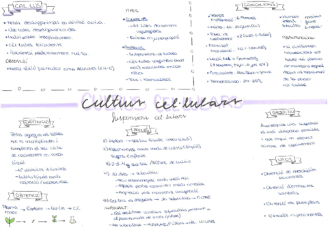 7-Cultius-cellulars.pdf
