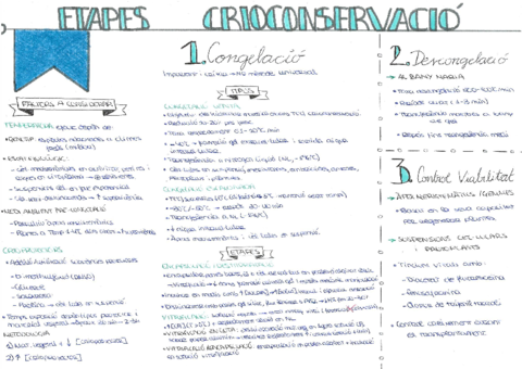 15-Etapes-Crioconservacio.pdf