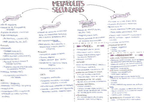 13-Metabolits-secundaris.pdf