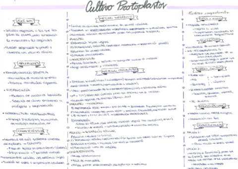 18-Cultivo-protoplastos.pdf