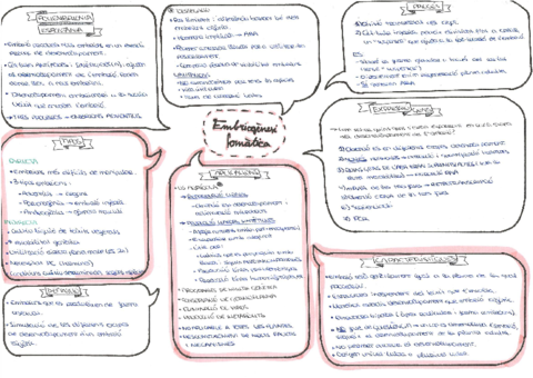 16-Embriogenesi-somatica.pdf