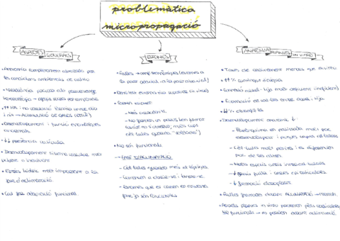 11-Problematica-micropropagacio.pdf