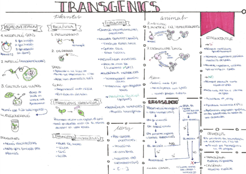 6-Transgenics.pdf