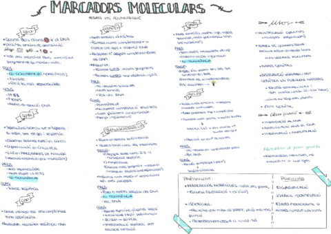 7-Marcadors-moleculars.pdf