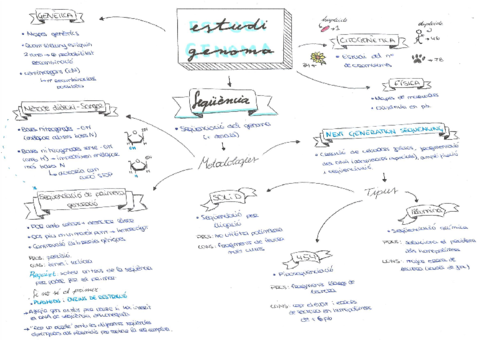3-Estudi-genoma.pdf