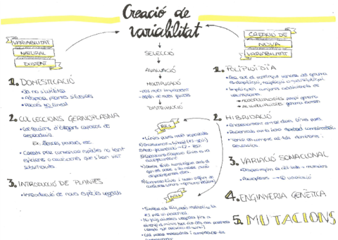 4-Creacio-de-variabilitat.pdf