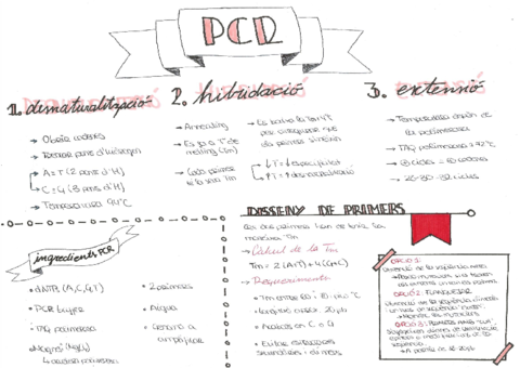 2-PCR.pdf