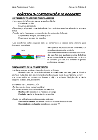 P3-AGRO.pdf