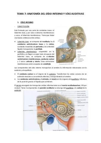 TEMA-7-ANATOMIA-DEL-OIDO-INTERNO-Y-VIAS-AUDITIVAS.pdf