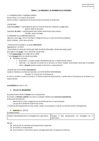 Apuntes-Derecho-de-la-Persona.pdf