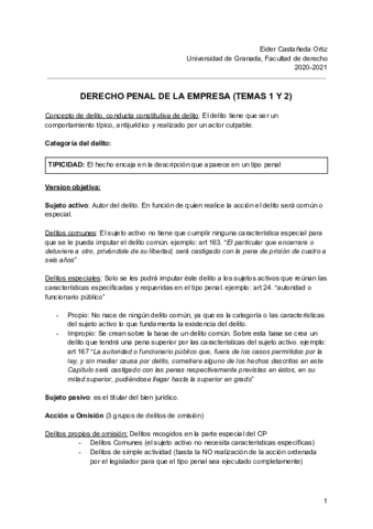 DERECHO-PENAL-DE-LA-EMPRESA-TEMAS-1-Y-2.pdf