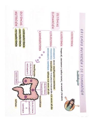 1-VSHOLSOOIOH3IS.pdf