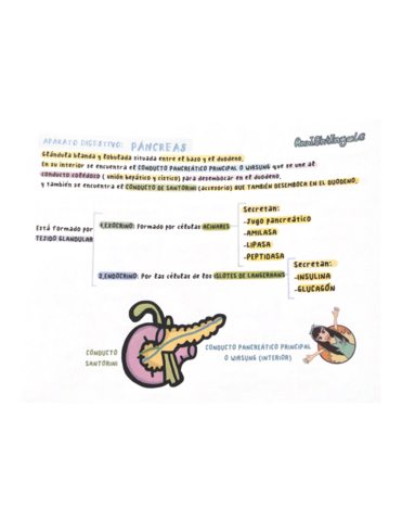 APARATO-DIGESTIVO.pdf