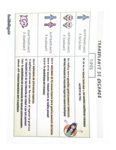 000-BIN-NONIS-SOLIDI1E-DID-DREY-NS-UR-T-D91D.pdf