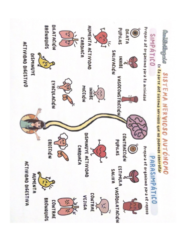 UA113910-0001A113U.pdf