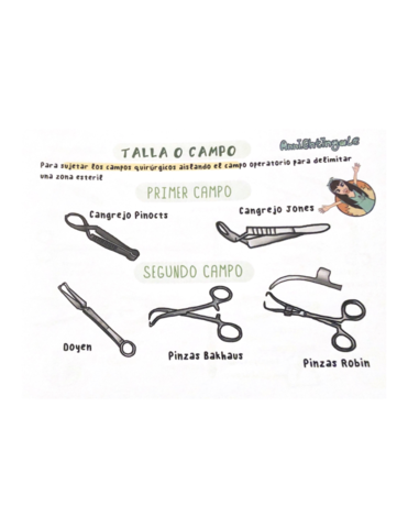 TALLA-O-CAMPO.pdf