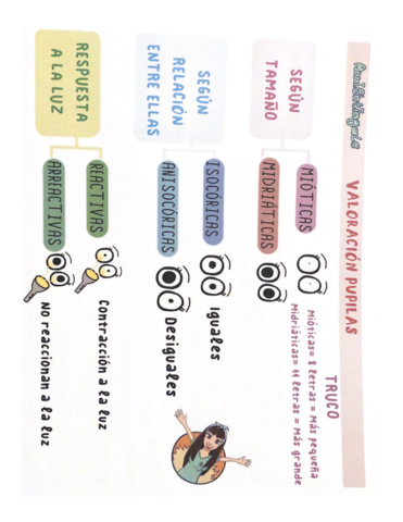 Documentos-escaneados.pdf