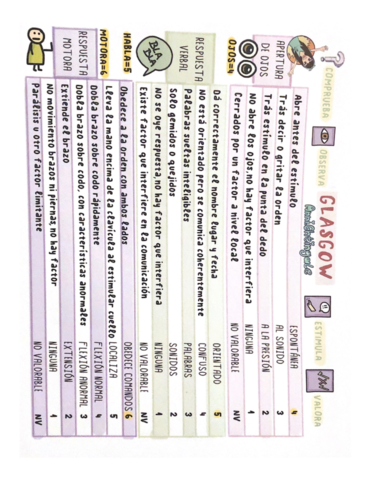 estimular-cvello-LOCALIZA.pdf