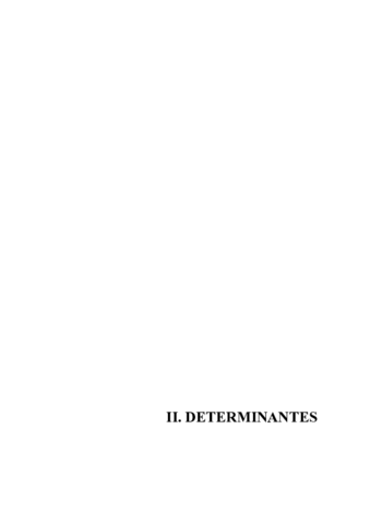 ALG_02_determinantes1_teoria.pdf