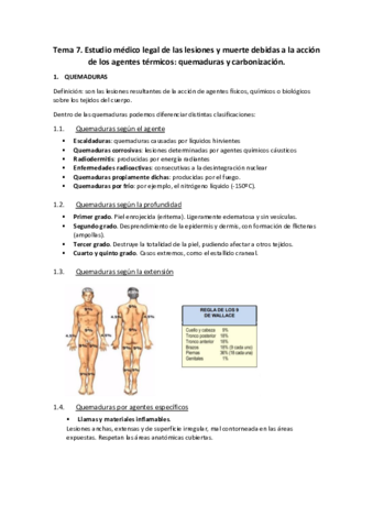 Tema-7.pdf