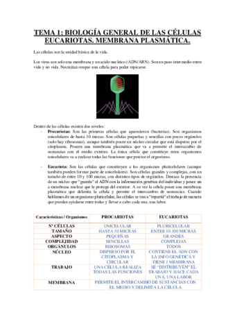 TEMA-1-MEMBRANA-PLASMATICA.pdf