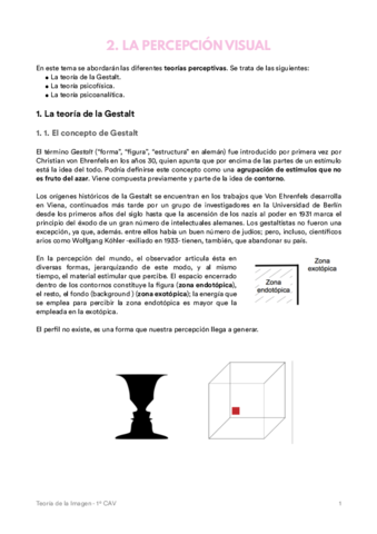 Tema 2. La percepción visual.pdf