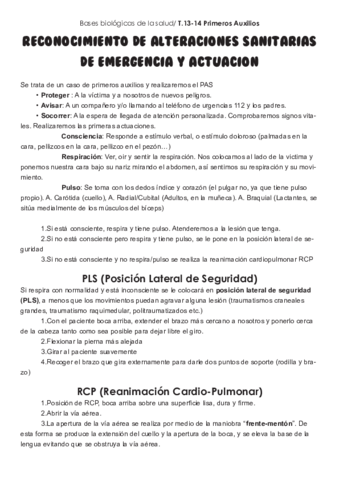 Primeros-Auxilios.pdf