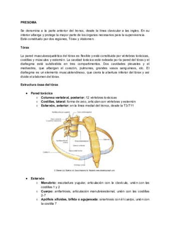 PRESOMA-Y-TORAX.pdf