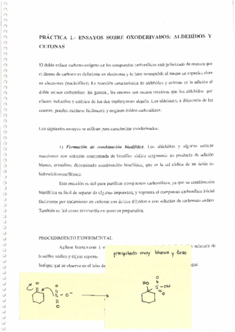 GUIA-DE-PRACTICAS-RESUELTA.pdf