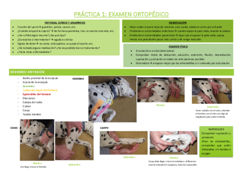 PRACTICA-1-EXAMEN-ORTOPEDICO.pdf