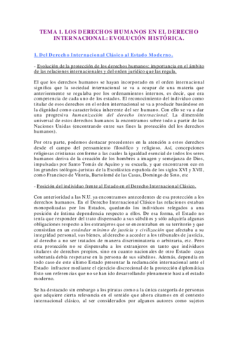 PROTECCIÓN_INTERNACIONAL_DE_LOS_DERECHOS_HUMANOS.pdf
