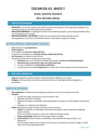 Enfermeria-del-adulto-I-infeccion-general.pdf