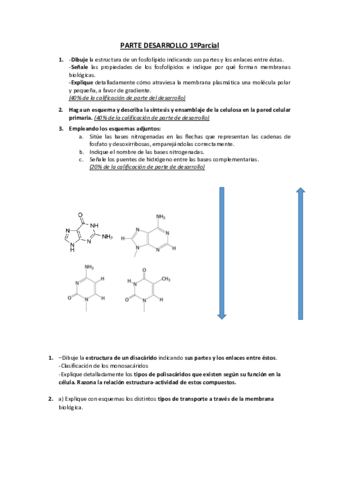 Desarrollo-Bio-general-1.pdf