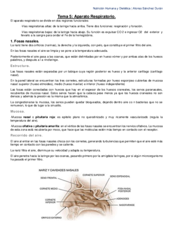 Tema-5-El-aparato-respiratorio.pdf