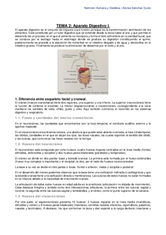 Tema-2-El-Sistema-Digestivo-I.pdf