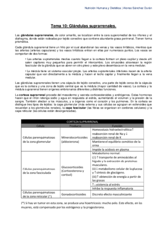 Tema-10-Las-Glandulas-Suprarrenales.pdf