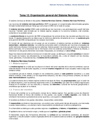 Tema-12-Organizacion-General-del-Sistema-Nervioso.pdf