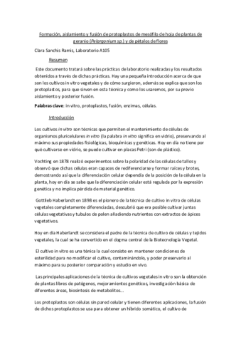 Trabajo-Bloque-C.pdf