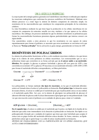 Segundo-parcial-microbiologia.pdf