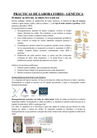 Practicas-genetica.pdf