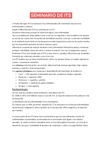 SEMINARIO-DE-ITS.pdf