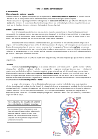 Tema-1-Sistema-cardiovascular.pdf