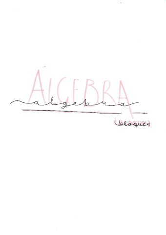 Apuntes-completos-Nerea.pdf