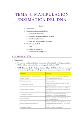 Tema-4-GMIG.pdf