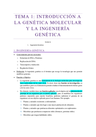 Tema-1-GMIG.pdf